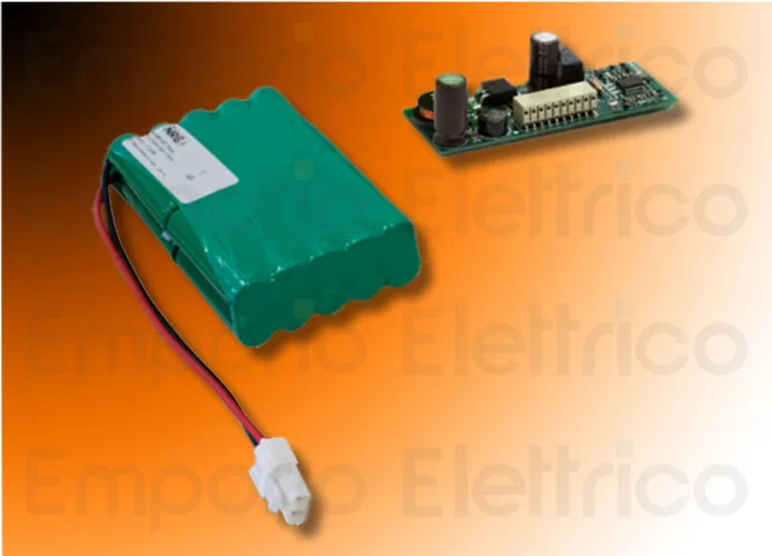 cardin kit chargeur + batteries nimh kbnimh-5l