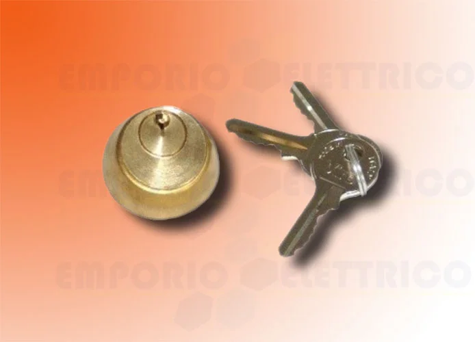 faac cylindre interne avec 2 clé pour serrure électrique 712651001/36