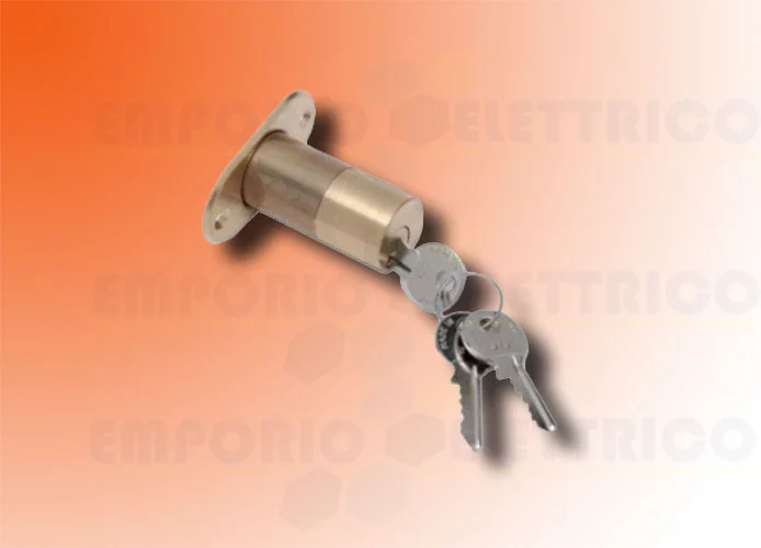 faac cylindre externe No. 2 clé pour serrure électrique 712652001/36
